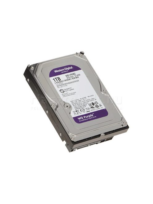  HDD - Western Digital WD Purple 1TB merevlemez